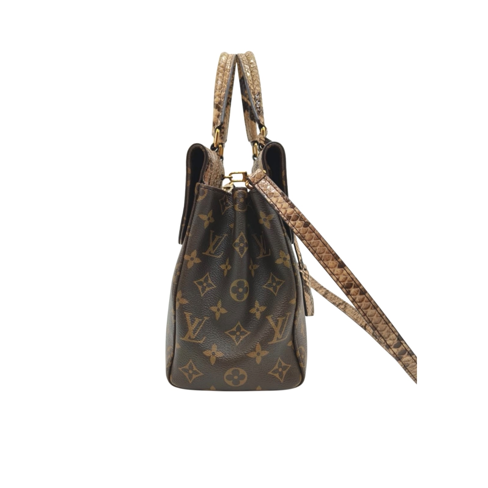 Louis Vuitton Monogram Canvas and Python Venus Bag - Image 3